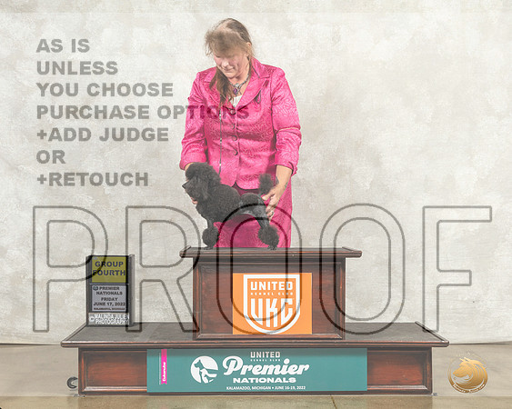 Poodle Toy #1295 Fri AG4 Judge Linda Reece__MJ_8004_Premier_2022_HR3