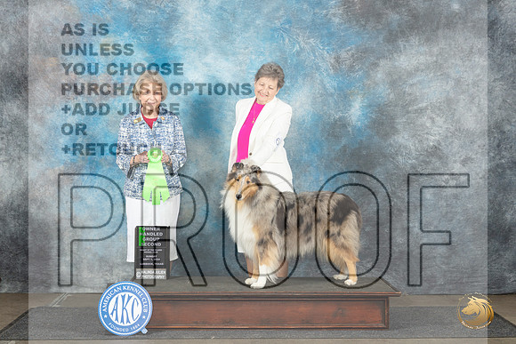 Collie Rough #6 Sun OHG2 Judge Ann Bolus__JP_4124_Lubbock_2024_HR3