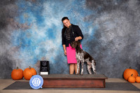 German Shorthaired Pointer #23 Sun WDBOW M Judge Ann Roth