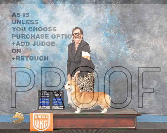 Pembroke Welsh Corgi #? Sat1 G1 Judge Pam Moore_MMJ_6322_Addison2022_HR3