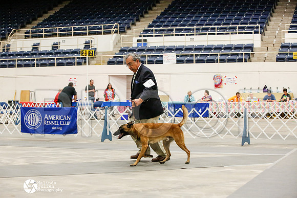 _JJ_8944-AblnMay2014-web