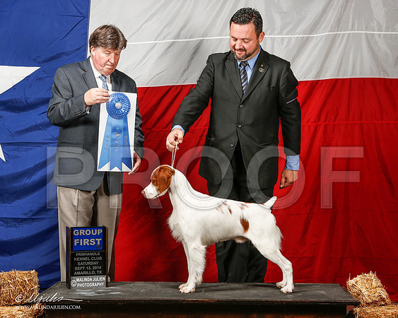 _ST_1979-2-AmarilloSep2014-HR3