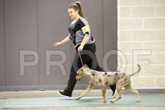 _JN_1400-BeltonJan2015-HR3
