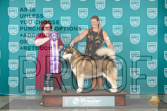 Alaskan Malamute #1301 Sat ABIS Judge Tracie Karsjens__JP_2611_Premier_2024_HR3