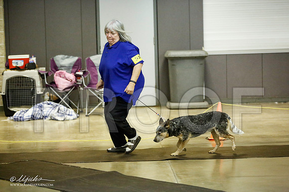 _JJ_7030-BeltonJan2015IABCA-HR3