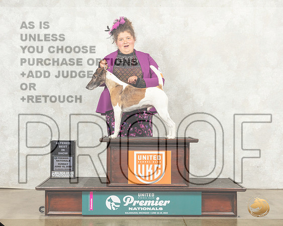Smooth Fox Terrier #652 Sun ABIS__MJ_9610_Premier_2022_HR3