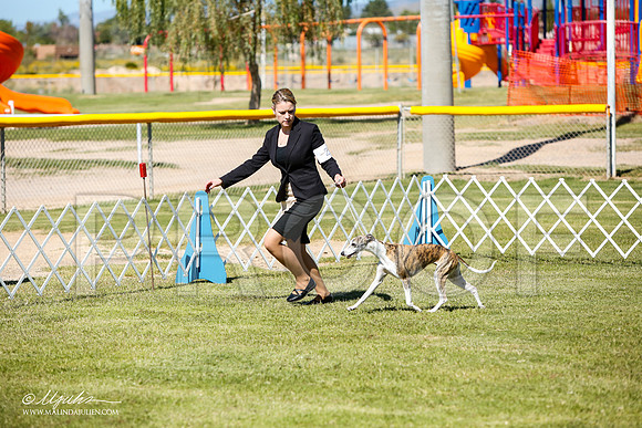 _JJ_5642-AlamogordoOct2014-HR3