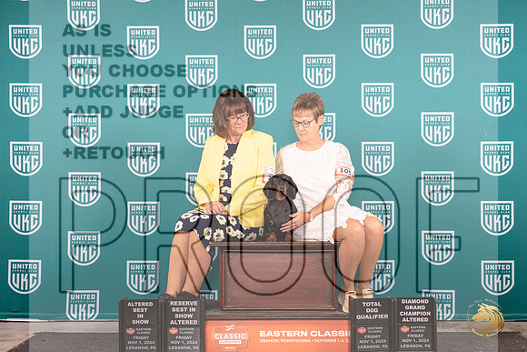 Dachshund #105 Fri ARBISTD Judge Keith ABIS Judge Will__JP_2020_UKCEastern_2024_HR3