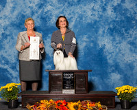 Maltese #6 Sun G4 Jim Hunter Judge Mrs Rita Holloway