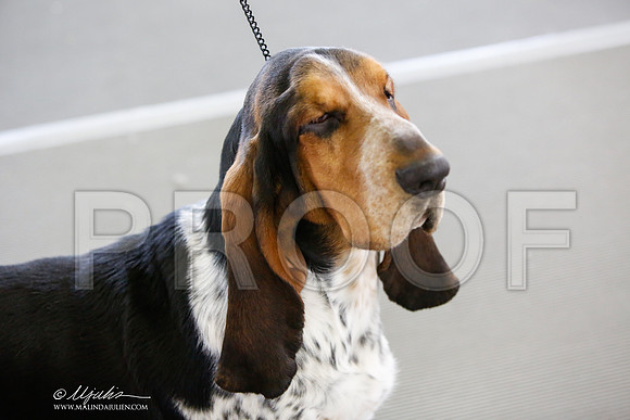 _JJ_2829-DallasJul2014-HR3