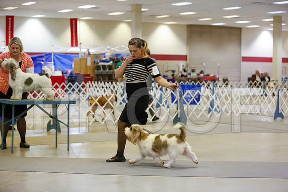 _JN_9619-AmarilloSept2014-HR3