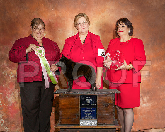 _ST_2491-CarlrolltonSept2014-HR3