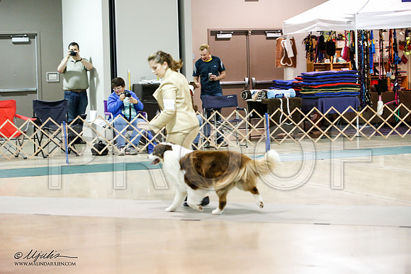 _JJ_8639-ASCACollegeStationNov2014-HR3