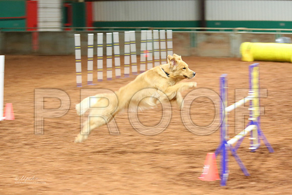 T2BPref24-2782-WFOct2013-HR