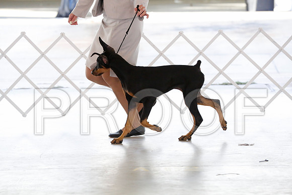 dobe-9776-CntnOct13-HR