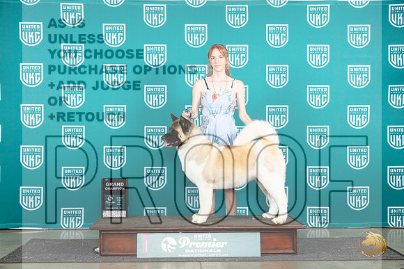 Akita #1131 Fri GCHclass Judge Stephanie Mueller__JP_1664_Premier_2024_HR3