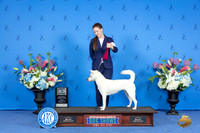 Kishu Ken #6 SUN BIOS Judge Nancy Liebes