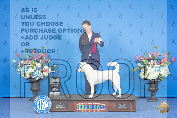 Kishu Ken #6 SUN BIOS Judge Nancy Liebes__JP_0589_Houston_2024_HR3