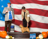 Norwich Terriers #5 Sun G1 Lentz Nancy Dwain Agent Betty M Bossio Judge Mr R C Williams