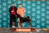 Akita #424 Sat G2 Judge Kevin Carroll