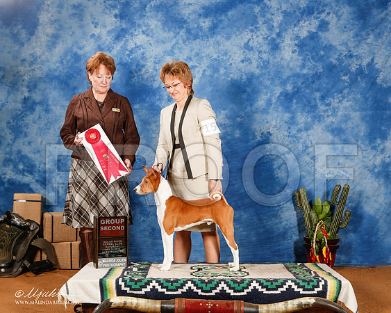 _ST_1099-2-GlenRoseJan2015-HR3