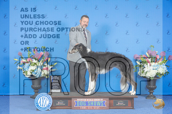 Borzoi #32 SAT WB BW NC M Judge Rick Martin__JP_9704_Houston_2024_HR3