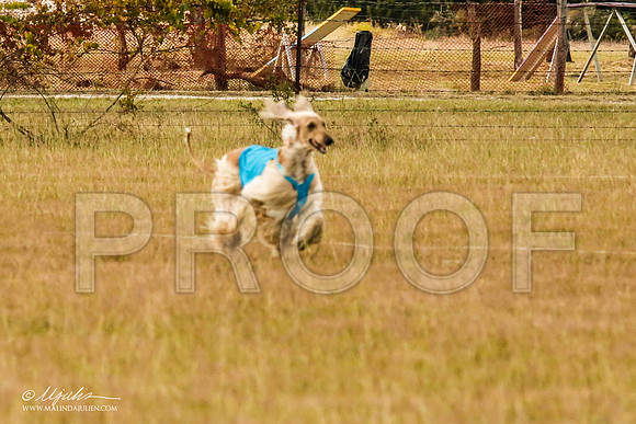 _MJ_4842-AfgBeltonOct2014-HR3