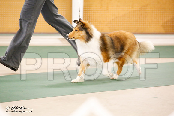 _JN_9774-NrmnNov2014-HR3