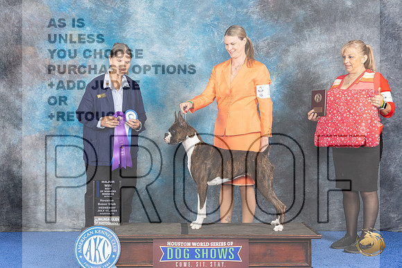 Boxer #14 WED WB BOW M Judge Cathy De La Garza__JP_6555_Houston_2024_HR3