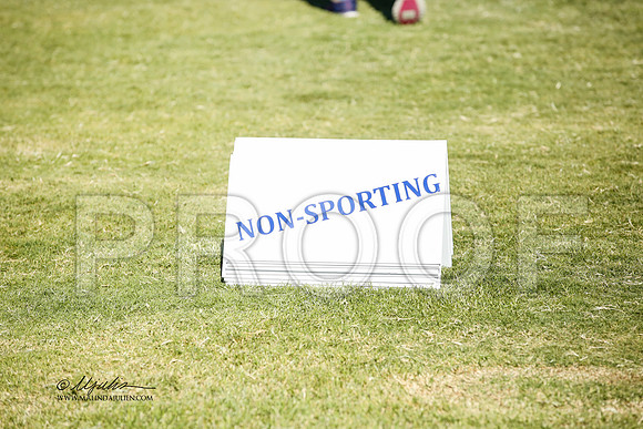 _JN_1434-AlamogordoOct2014-HR3