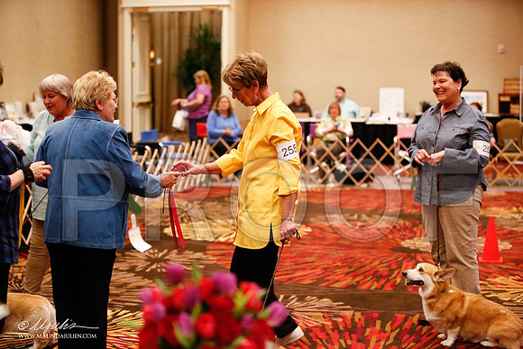 _JJ_7554-HstnCorgiFeb2015-HR3