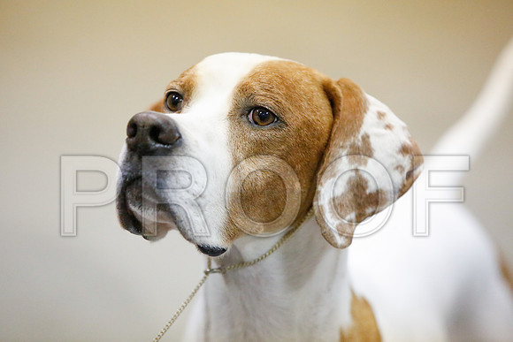 _JJ_4587-AmarilloSept2014-HR3