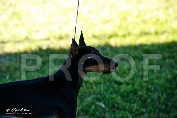 _JN_4805-AlamogordoOct2014-HR3