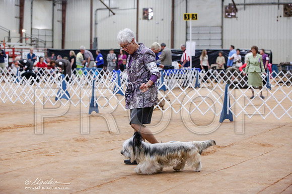 _JJ_7738-TxArJun2014-HR3