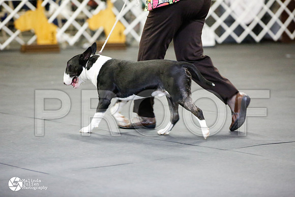 _N9A2309-AzleMar14-HR