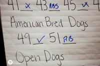 BSCA Am Bred