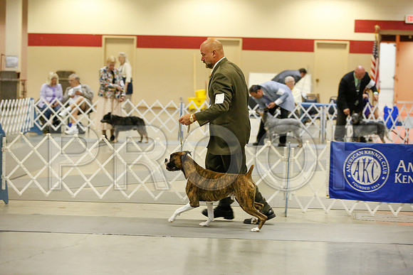 _JJ_8426-AmarilloSept2014-HR3