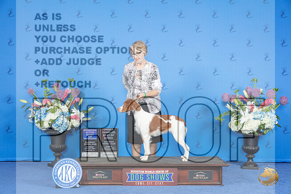 Brittany #18 SUN WB BOW OHBOB M Judge Annella Cooper__JP_0192_Houston_2024_HR3