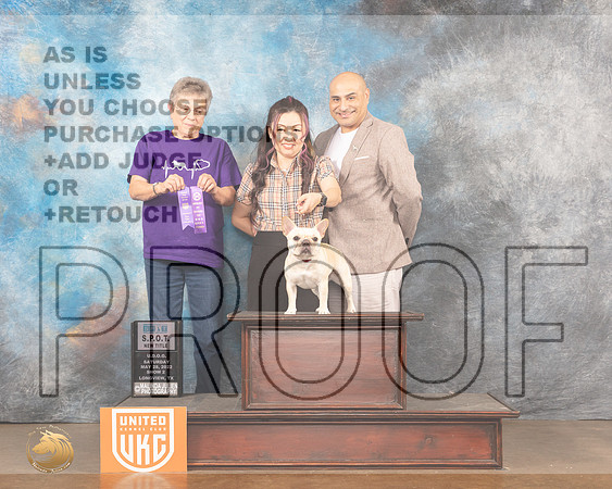 French Bulldog #122 SPOT Judge Nancy AndersonMMJ_5654_Lngvw2022HR3