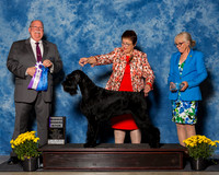 Giant Schnauzers #30 Fri RWB Lietzau Christine E Judge Mr Douglas R Holloway