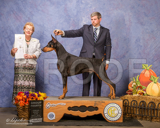 _CL_4563 - Version 2-SanAngelo2014-HR3