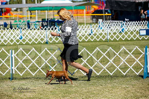 _JJ_3405-AlamogordoOct2014-HR3