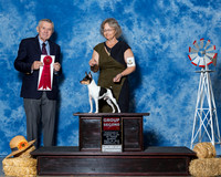 Toy Fox Terriers #9 Sun G2 Bellamy W Eugene Jr Agent Jon Rawleigh Judge Mr Terry Stacy