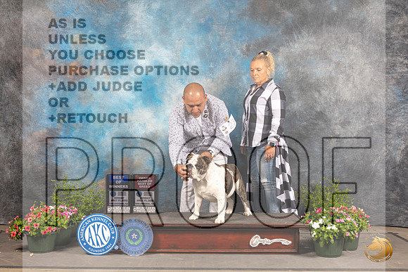 Bulldog #23 Sun BOWOHBOB Judge Debra Thornton_MJ_1132_SA_2022_HR3