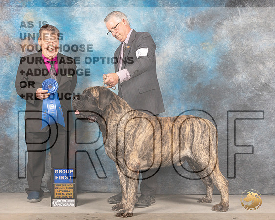 Mastiff #5 Sat G1 Judge Del RichardsMMJ_4527_Mdlnd2022_HR3