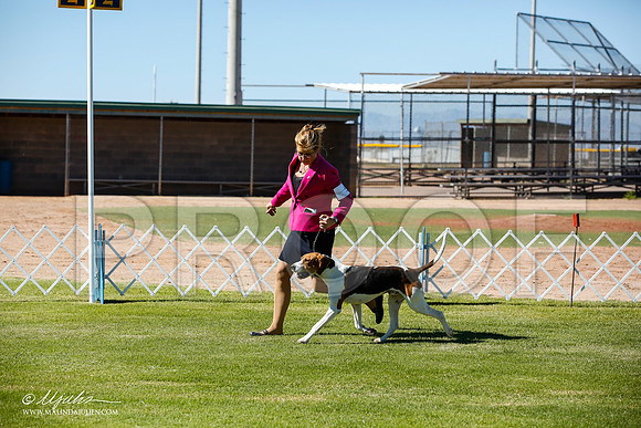 _JN_5945-AlamogordoOct2014-HR3