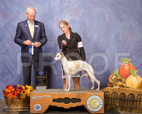 _CL_4526-SanAngelo2014-HR3