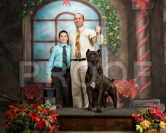 _ST_7099-NrmnNov2014-HR3