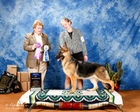 German Shepherd Dog #12 Fri BOW 2