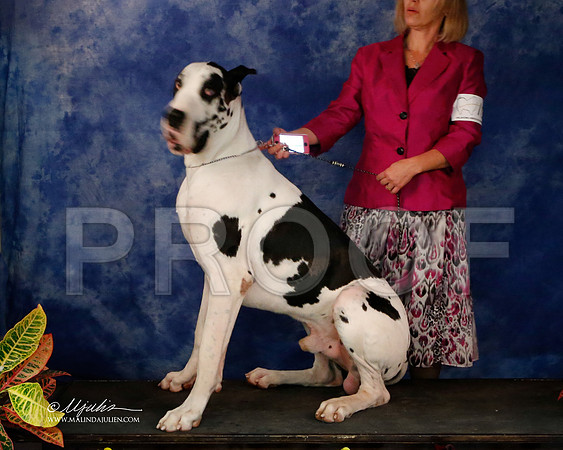 Dane-9026-NormNov2013-HR